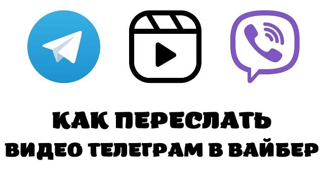 Как отправить видео с телеграмма на вайбер Как отправить видео с телеграмма на вайбер