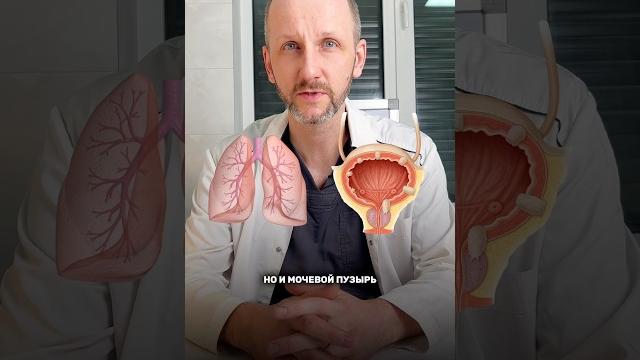Хронический цистит туберкулез или опухоль мочевого пузыря #цистит #циститы #диагноз #топ Хронический цистит туберкулез или опухоль мочевого пузыря #цистит #циститы #диагноз #топ