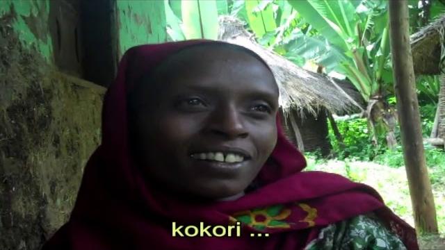 Gender & enset Gender & enset