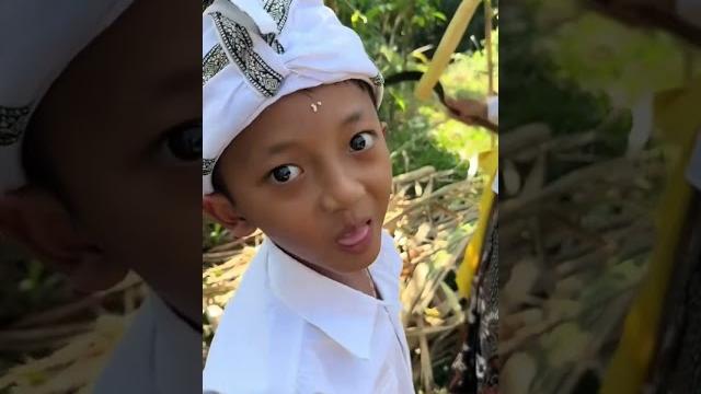 When everything is not ready, harvesting sugar cane is my ninja way #viral #youtubeshorts #enyath... When everything is not ready, harvesting sugar cane is my ninja way #viral #youtubeshorts #enyath...