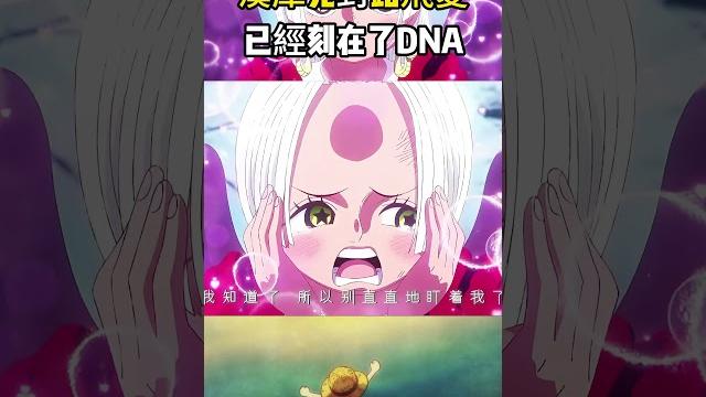 漢庫克對路飛的愛已經刻入了dna裏面,熾天使小女帝也對路飛的話言聽計從 #onepiece #海賊王#luffy 漢庫克對路飛的愛已經刻入了dna裏面,熾天使小女帝也對路飛的話言聽計從 #onepiece #海賊王#luffy