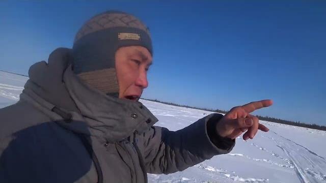 Рыбы нет- одни окуни! Рыбы нет- одни окуни!