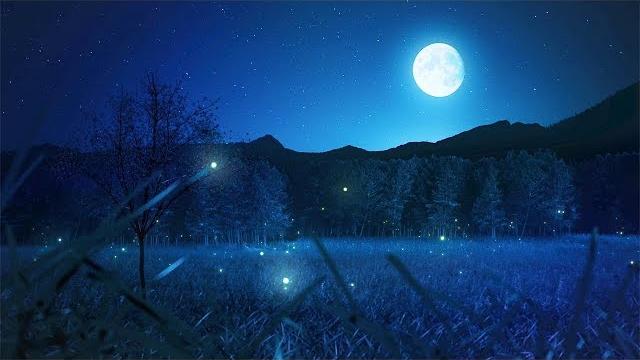 Relaxing sleep music and night nature sounds: soft crickets, beautiful piano, deep sleep music Relaxing sleep music and night nature sounds: soft crickets, beautiful piano, deep sleep music