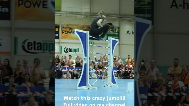 Crazy high jump from finnish hobbyhorse championships Crazy high jump from finnish hobbyhorse championships