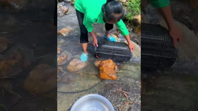 It's fishing season again #rurallife #outdoors #fishfood #fishtrip #xiaomei #fishingfun It's fishing season again #rurallife #outdoors #fishfood #fishtrip #xiaomei #fishingfun