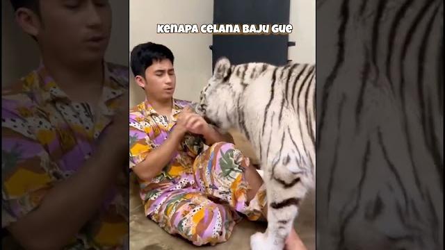Manja manjaan dikamar selen Manja manjaan dikamar selen