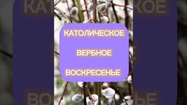 Вербное воскресенье 24.03.2024. что нельзя делать в католическое вербное воскресенье. поздравление. Вербное воскресенье 24.03.2024. что нельзя делать в католическое вербное воскресенье. поздравление.