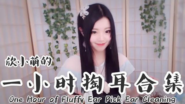 Asmr欣小萌 一个小时纯掏耳合集 丨asmr 1 hour of fluffy ear pick ear cleaning Asmr欣小萌 一个小时纯掏耳合集 丨asmr 1 hour of fluffy ear pick ear cleaning