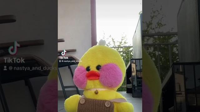 Лалафанфан утя на балконе распаковка посылки для утки #lalafanfan #лалафанфан #duck #утя Лалафанфан утя на балконе распаковка посылки для утки #lalafanfan #лалафанфан #duck #утя