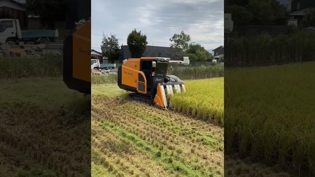 Mini combine harvester #harvester #shorts #iseki Mini combine harvester #harvester #shorts #iseki