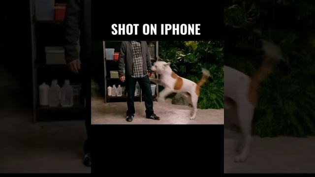 Shot on iphone meme #shorts #trending #memes Shot on iphone meme #shorts #trending #memes