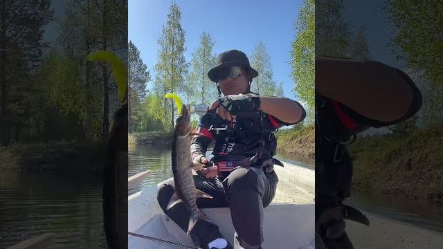 Pike fishing #strikebrofishing #shorts Pike fishing #strikebrofishing #shorts