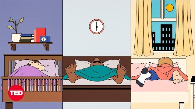 Do you really need 8 hours of sleep every night? | body stuff with dr. jen gunter | ted Do you really need 8 hours of sleep every night? | body stuff with dr. jen gunter | ted