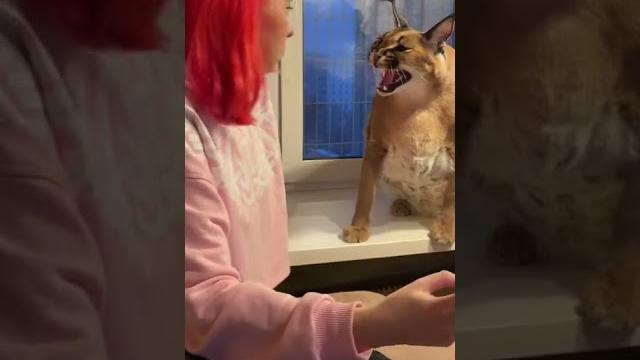 В гостях у шлёпы! В гостях у шлёпы!