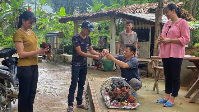 Dau & tu have sold a lot of chickens to prepare for giving birth. forest life skills dt Dau & tu have sold a lot of chickens to prepare for giving birth. forest life skills dt
