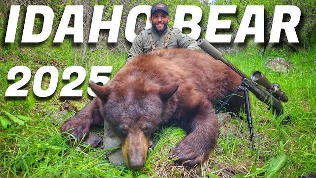 Chad mendes 2025 id bear hunt Chad mendes 2025 id bear hunt