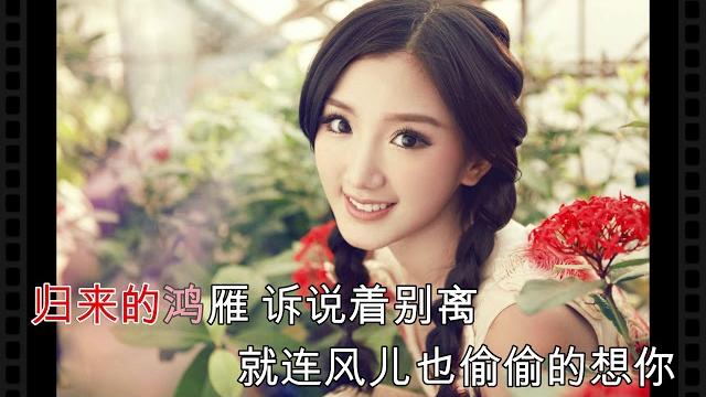 亲爱的你在哪里-门丽 亲爱的你在哪里-门丽
