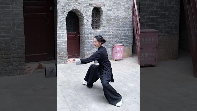 阴不离阳,阳不离阴,阴阳相济,方为懂劲#太极拳 #随拍 阴不离阳,阳不离阴,阴阳相济,方为懂劲#太极拳 #随拍