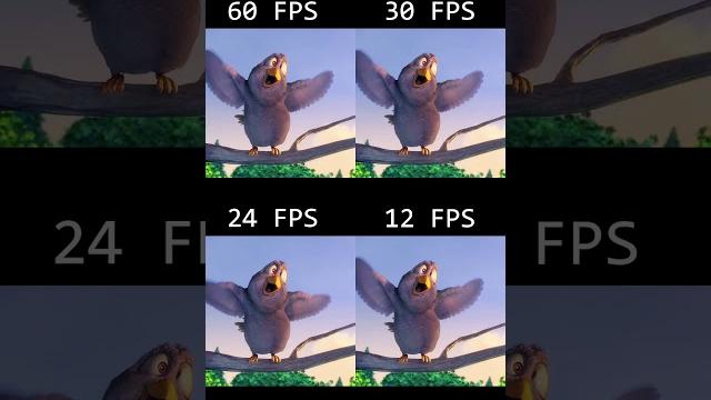Differences between #fps #60fps #30fps #24fps #12fps Differences between #fps #60fps #30fps #24fps #12fps