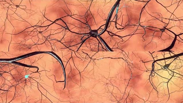 360° vr animation 360 neurons 360° vr animation 360 neurons