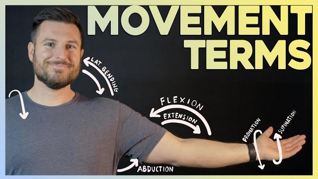 Easiest way to remember movement terms | corporis Easiest way to remember movement terms | corporis