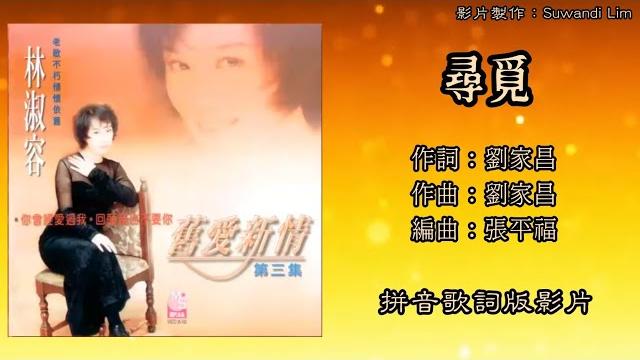 林淑容 anna lin - 旧爱新情 vol.3【寻觅】(拼音歌词版) 林淑容 anna lin - 旧爱新情 vol.3【寻觅】(拼音歌词版)