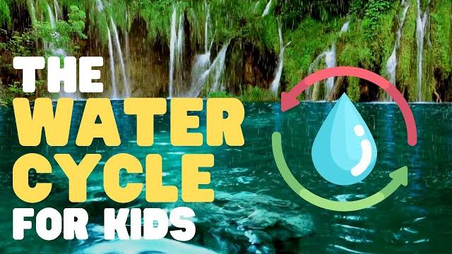 The water cycle for kids | learn all about the water cycle The water cycle for kids | learn all about the water cycle