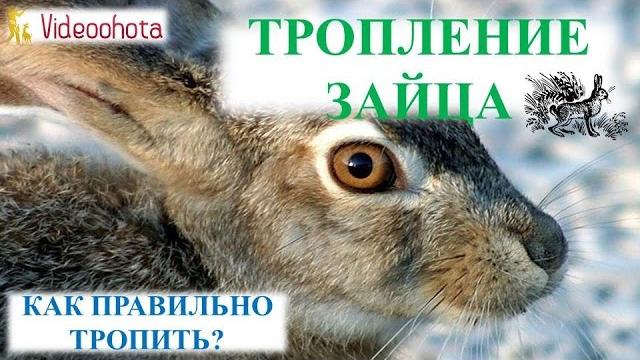 Тропление зайца! практический урок - videoohota Тропление зайца! практический урок - videoohota