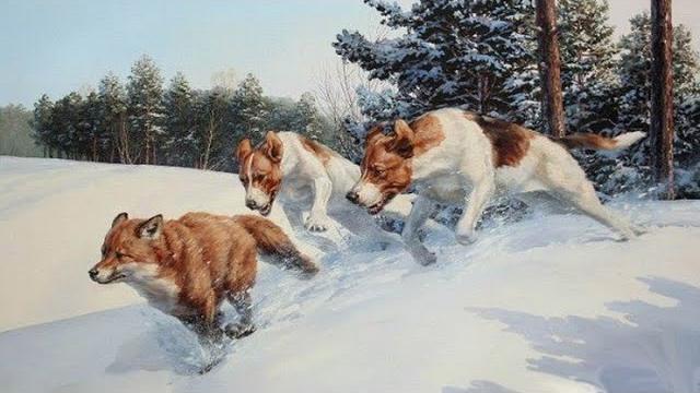 Охота с гончими . первые шаги молодых выжлецов Охота с гончими . первые шаги молодых выжлецов