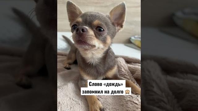 Тогда гуляем под одеялом) Тогда гуляем под одеялом)