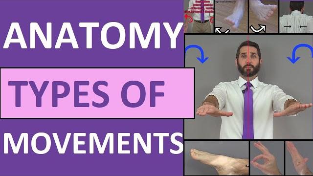 Body movement terms anatomy | body planes of motion | synovial joint movement terminology Body movement terms anatomy | body planes of motion | synovial joint movement terminology