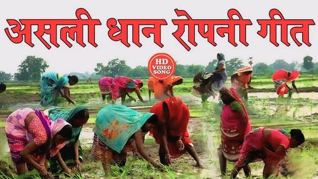 #धोबी गीत || असली धान रोपनी गीत || nonstop jockbox dhobi geet |kavita yadav,khushbu raj,sumit y lala #धोबी गीत || असली धान रोपनी गीत || nonstop jockbox dhobi geet |kavita yadav,khushbu raj,sumit y lala