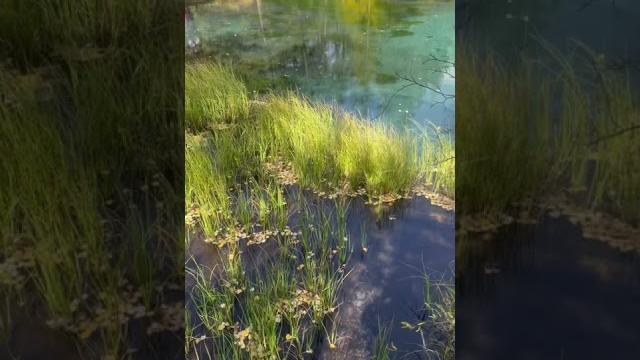Гейзерное озеро, алтай подпишись Гейзерное озеро, алтай подпишись
