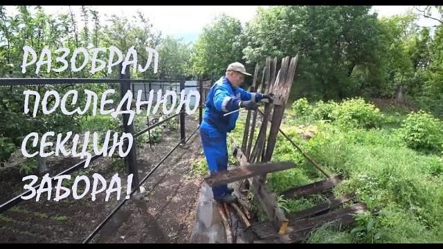 Горизонтальные поперечины забора из кусочков уничтожение тли на красной смородине_20.05.2025 Горизонтальные поперечины забора из кусочков уничтожение тли на красной смородине_20.05.2025