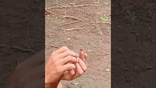 Kalood nimo oy! Kalood nimo oy!