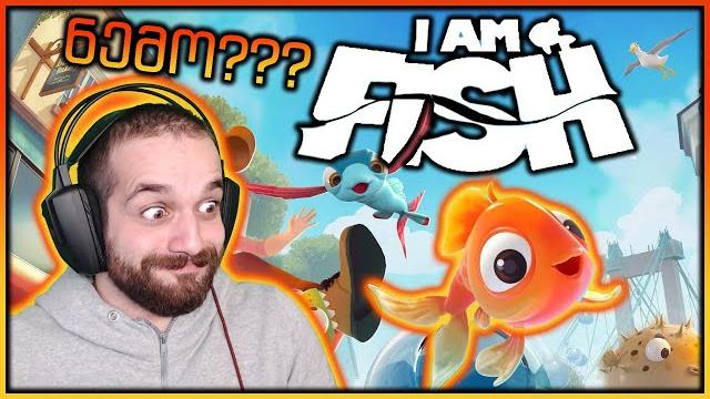 I am fish - მე ვარ თევზი - ნემო სტეროიდებზე I am fish - მე ვარ თევზი - ნემო სტეროიდებზე