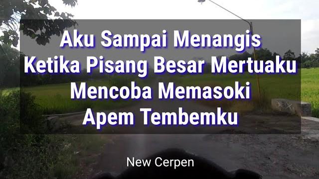 Bapak mertuaku datang kerumah Bapak mertuaku datang kerumah