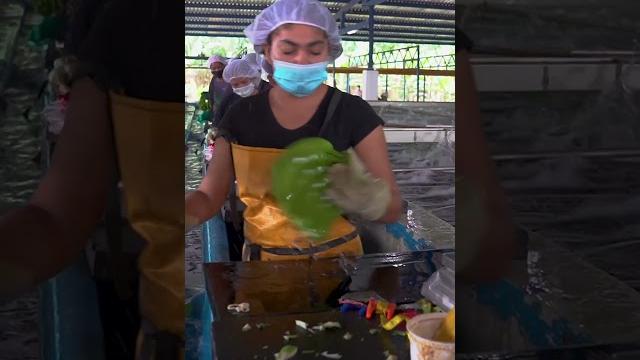 Ever wondered about the journey of cavendish #bananas from farm to table? #fruits #harvesting Ever wondered about the journey of cavendish #bananas from farm to table? #fruits #harvesting