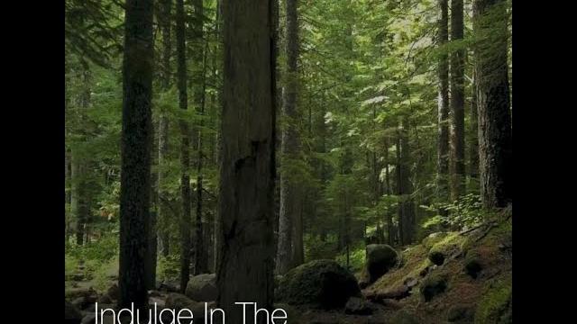 World of wienerberger- sustainably yours World of wienerberger- sustainably yours