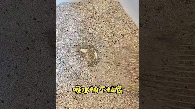 【元寶是只皮卡丘】好用貓砂推薦 【元寶是只皮卡丘】好用貓砂推薦