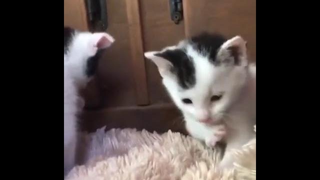 Учимся умываться#shorts Учимся умываться#shorts