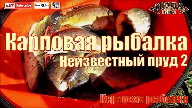Карповая рыбалка. неизвестный пруд 2 Карповая рыбалка. неизвестный пруд 2