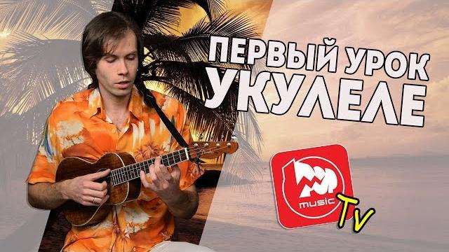 С чего начать играть на укулеле. строй, аккорды и бой С чего начать играть на укулеле. строй, аккорды и бой