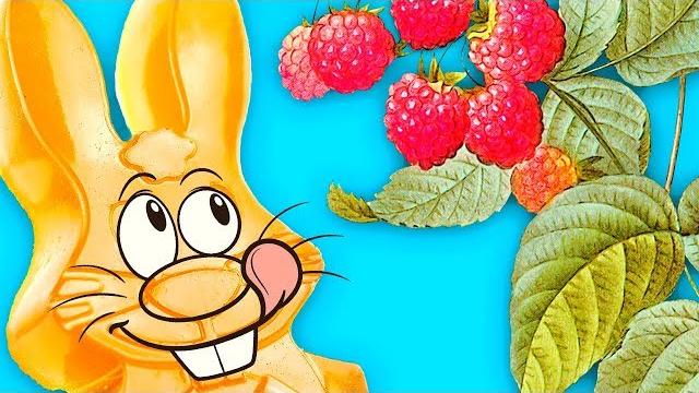 Как желейный заяц харитон малину собирал Как желейный заяц харитон малину собирал