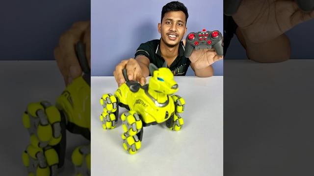 Mera new robot dog Mera new robot dog