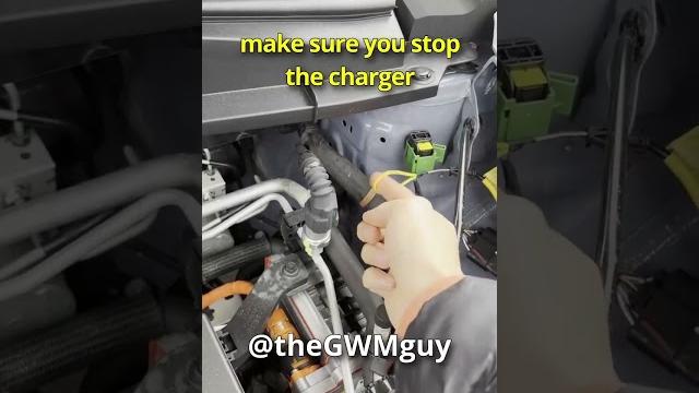 Manual charger release on the gwm ora (good cat) for when the charger is jammed or stuck #gwm #ora Manual charger release on the gwm ora (good cat) for when the charger is jammed or stuck #gwm #ora