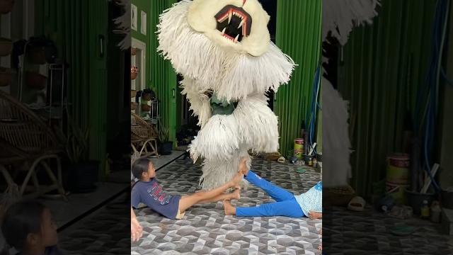 Can macan atraksi lompat bersama para bocil ff‼️ Can macan atraksi lompat bersama para bocil ff‼️