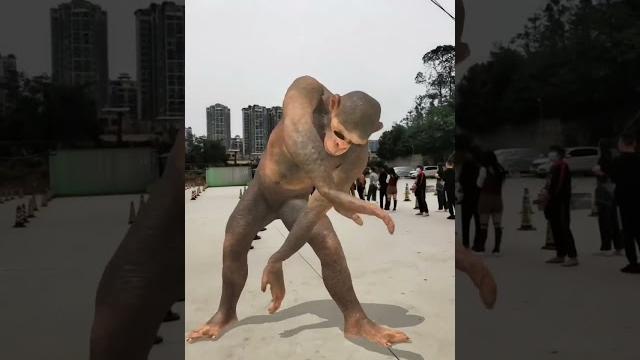 Torang pasukan damai batudaa versi monyet joget Torang pasukan damai batudaa versi monyet joget