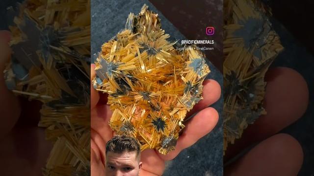 Golden rutile with hematite crystal from pacific mineral's ig! #shorts #rutile #rutilequartz #wow Golden rutile with hematite crystal from pacific mineral's ig! #shorts #rutile #rutilequartz #wow
