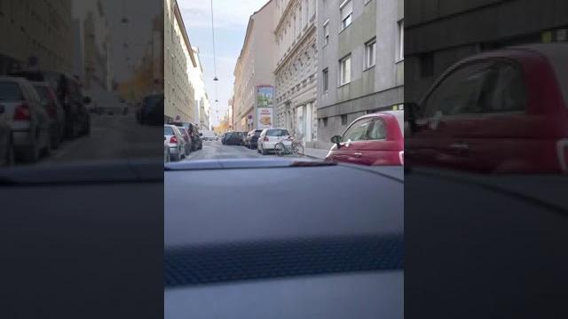 1 ноября 2021 г.вена 1 ноября 2021 г.вена